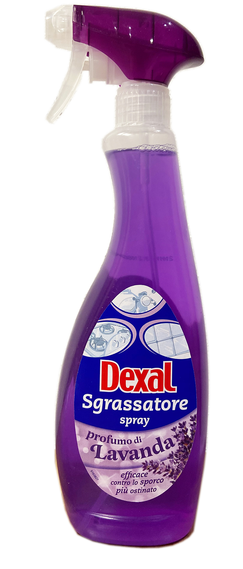 lavander lavander