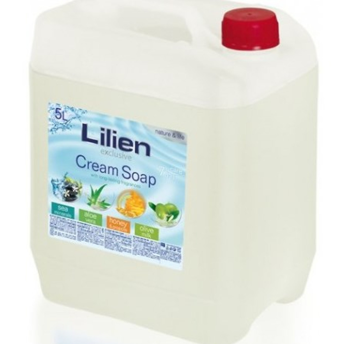 Lilien olive Lilien olive